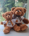 Regala Teddy Bear 10" - AMOROSSA